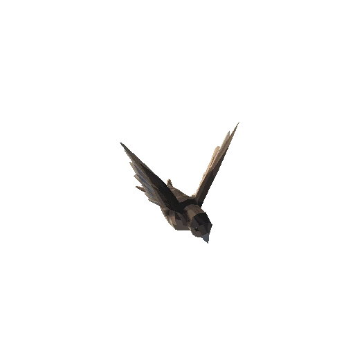 Low Poly Bird 02 Variant